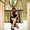 Photo of Stephanie H.