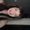 Photo of shannan P.