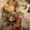 Photo of Portia L.
