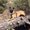 Photo of Anjan S.