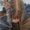 Photo of Katie M.