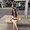 Photo of Zahra R.