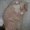 Photo of Astrid S.