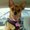 Photo of Sandie S.