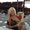 Photo of Valerie B.