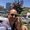 Photo of Craig M.