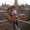 Photo of Ivana K.