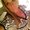 Photo of Lynne N.