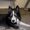 Photo of Brianna K.