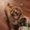 Photo of Cindy L.