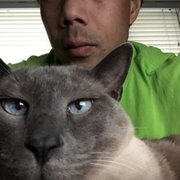 google avatar