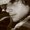 Photo of Joel M.