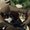 Photo of Zoey M.