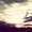 Photo of Lucinda N.