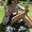 Photo of Vanessa R.