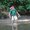 Photo of noah S.