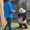 Photo of Hai Ying C.