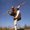 Photo of James C.