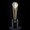 Photo of Matt K.