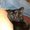 Photo of Qype User (iangil…)