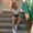 Photo of Jocelynn M.