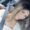 Photo of Anam C.