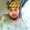 Photo of Maximo S.