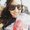 Photo of Mika G.