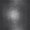 Photo of Sean J.