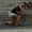 Photo of Brianna M.