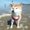 Photo of Saori C.