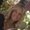 Photo of Bethany S.