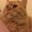Photo of Milky M.
