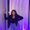 Photo of Tiffanie F.