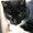Photo of Qype User (4mevic…)
