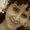 Photo of Irene P.