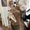 Photo of Draconis K.