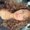 Photo of Jasmine N.