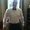 Photo of Geoff G.