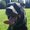 Photo of Joey B.