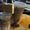 Photo of Coffee L.