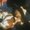Photo of RK User (maik6…)