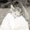 Photo of Kristin Graeve S.