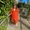 Photo of Lanna S.