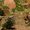 Photo of Newland-scaping L.