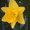 Photo of Qype User (dsissd…)