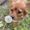 Photo of Jacelle G.