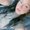 Photo of Noemi G.