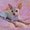 Photo of Jesslan R.