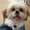Photo of Hai Q.